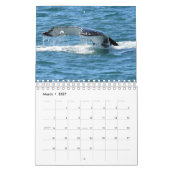 HUMPBACK WHALE QUEENSLAND AUSTRALIË KALENDER (Mar 2027)