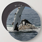 Humpback Whale Ronde Button 6,0 Cm (Voorkant /achterkant)