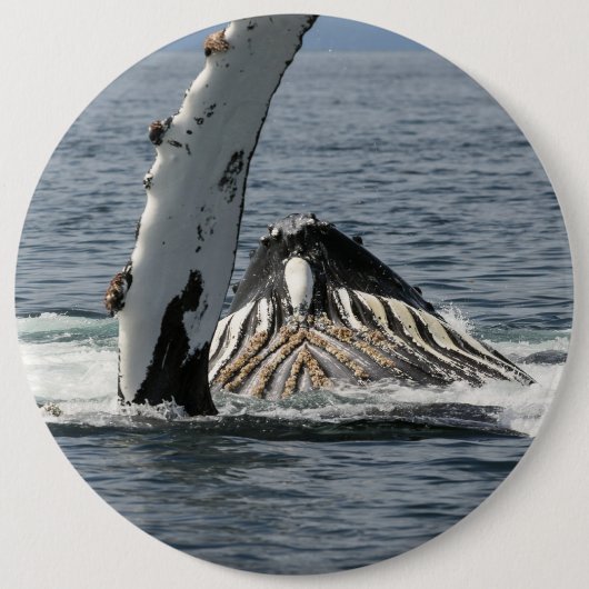 Humpback Whale Ronde Button 6,0 Cm (Voorkant)