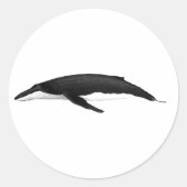 HUMPBACK WHALE RONDE STICKER (Voorkant)