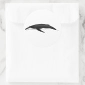 HUMPBACK WHALE RONDE STICKER (Tas)