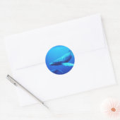 Humpback Whale Ronde Sticker (Envelop)