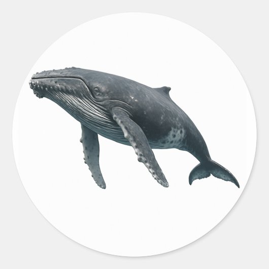Humpback Whale Ronde Sticker (Voorkant)