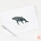 Humpback Whale Ronde Sticker (Envelop)