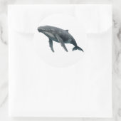 Humpback Whale Ronde Sticker (Tas)