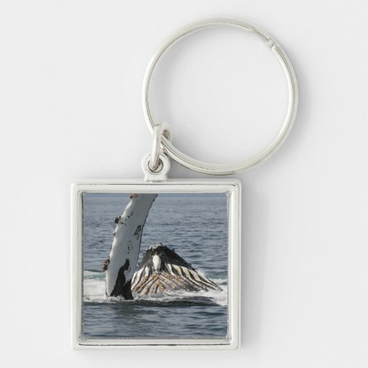 Humpback Whale Sleutelhanger (Voorkant)