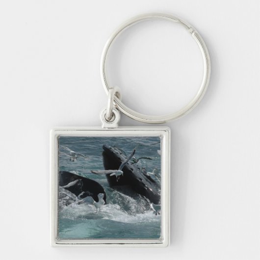 Humpback Whale Sleutelhanger (Voorkant)