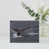 Humpback Whale Sounding (Tail Flukes)/Ghear Briefkaart (Staand voorkant)