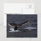 Humpback Whale Sounding (Tail Flukes)/Ghear Briefkaart (Voorkant / Achterkant)