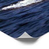 Humpback Whale Sounding (Til Flukes) Poster (Hoek)