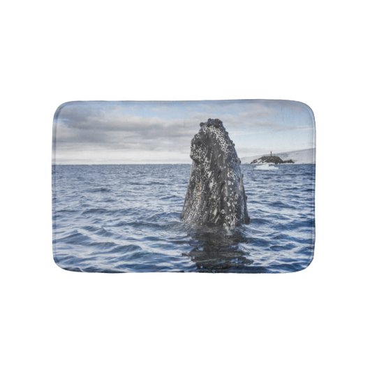 Humpback Whale Spyhops | Hope Bay, Antarctica Badmat (Voorkant)