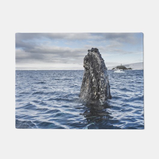 Humpback Whale Spyhops | Hope Bay, Antarctica Deurmat (Voorkant)