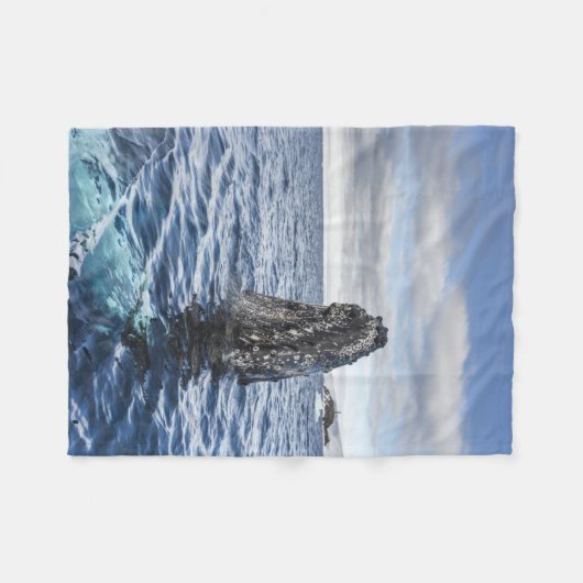 Humpback Whale Spyhops | Hope Bay, Antarctica Fleece Deken (Voorkant (Horizontaal))