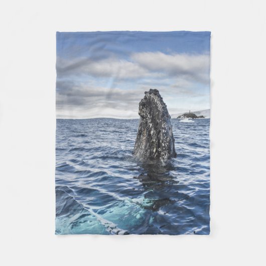 Humpback Whale Spyhops | Hope Bay, Antarctica Fleece Deken (Voorkant)