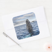 Humpback Whale Spyhops | Hope Bay, Antarctica Vierkante Sticker (Envelop)
