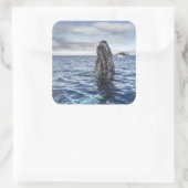 Humpback Whale Spyhops | Hope Bay, Antarctica Vierkante Sticker (Tas)
