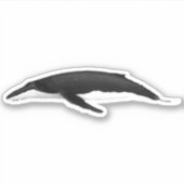HUMPBACK WHALE STICKER (Voorkant)