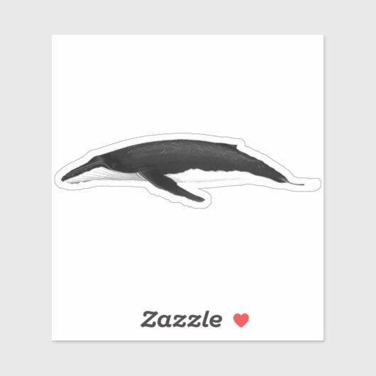 HUMPBACK WHALE STICKER (Vel)