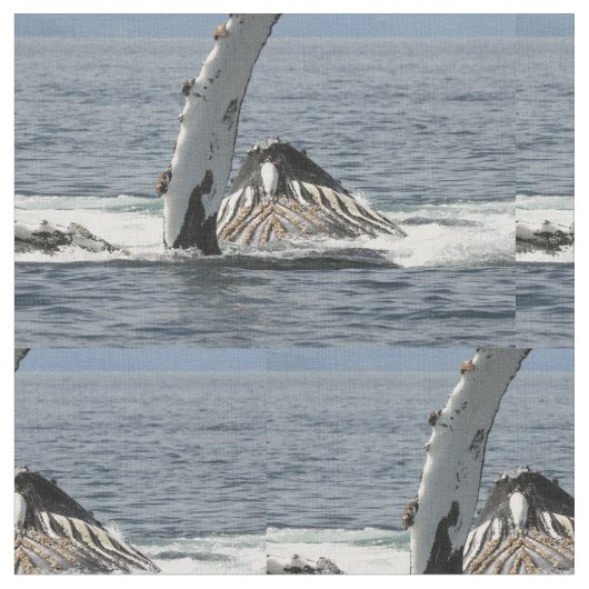 Humpback Whale Stof (Close Up)