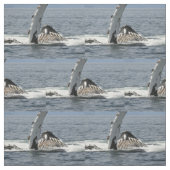 Humpback Whale Stof (Swatch)