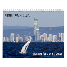 Humpback Whale Surfers Paradise Stille Oceaan Kalender