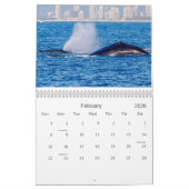 Humpback Whale Surfers Paradise Stille Oceaan Kalender (Feb 2026)