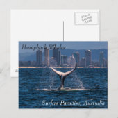 Humpback Whale Tail Bot van Surfers Paradiaal Briefkaart (Voorkant / Achterkant)