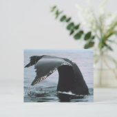 Humpback Whale Tail Briefkaart (Staand voorkant)