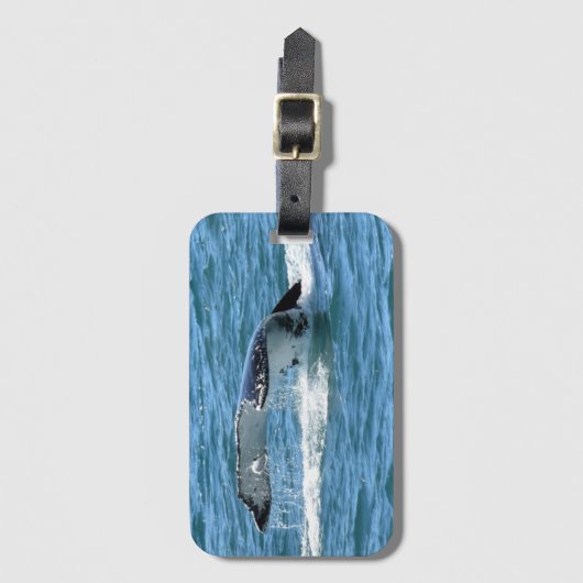 HUMPBACK WHALE TAIL & FISH QUEENSLAND AUSTRALIË BAGAGELABEL (Voorkant (verticaal))