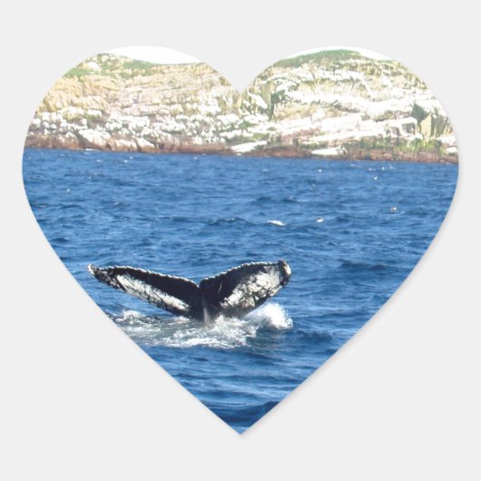 Humpback Whale Tail Hart Sticker (Voorkant)