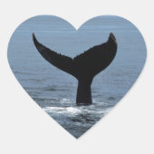 Humpback whale tail hart sticker (Voorkant)