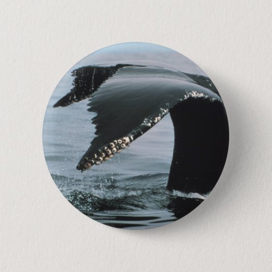 Humpback Whale Tail Ronde Button 5,7 Cm (Voorkant)