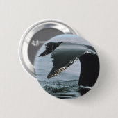 Humpback Whale Tail Ronde Button 5,7 Cm (Voorkant /achterkant)