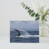 Humpback Whale Tail Splash Briefkaart (Staand voorkant)