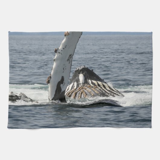 Humpback Whale Theedoek (Horizontaal)