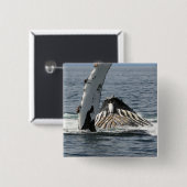 Humpback Whale Vierkante Button 5,1 Cm (Voorkant /achterkant)