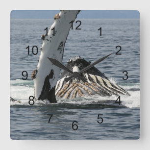 Humpback Whale Vierkante Klok