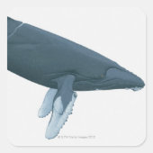 Humpback Whale Vierkante Sticker (Voorkant)