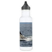 Humpback Whale Waterfles (Rechts)