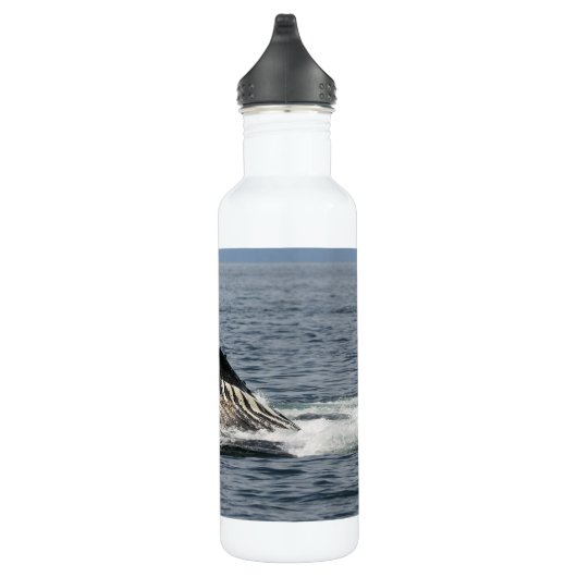 Humpback Whale Waterfles (Rechts)
