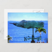 Humpback Whale Weather Vane Briefkaart (Voorkant / Achterkant)