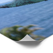 Humpback Whale Weather Vane Poster (Hoek)