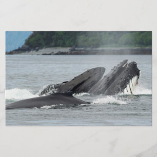 Humpback Whales Briefpapier