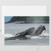 Humpback Whales Briefpapier (Voorkant / Achterkant)