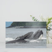 Humpback Whales Briefpapier (Staand voorkant)