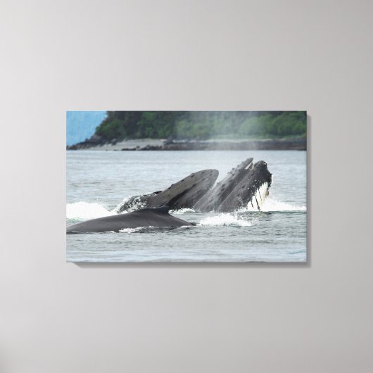Humpback Whales Canvas Afdruk (Voorkant)