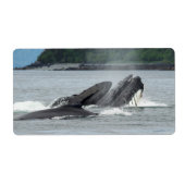 Humpback Whales Etiket (Voorkant)