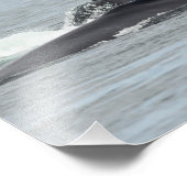 Humpback Whales Foto Afdruk (Hoek)