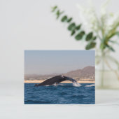 Humpback Whales in Mexico Briefkaart (Staand voorkant)