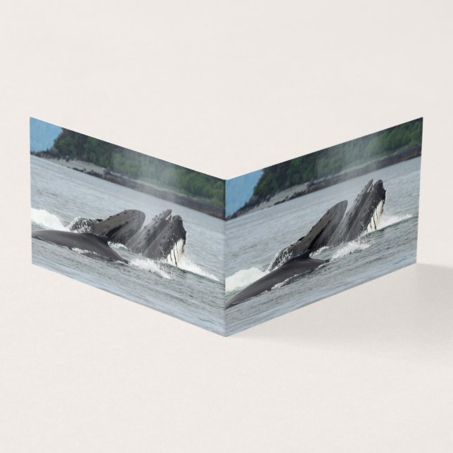 Humpback Whales Kaart (Buitenkant)